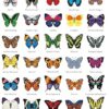 Easy Butterfly Origami & Papercrafts - Image 4
