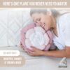 Velvety Soft Flower-Shaped Throw Pillow - Cream and Pink Monochromatic Funky Décor - Image 6
