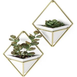 Trigg Hanging Planter Set of 2 - White/Brass Wall Vases for Succulents, Cactus, and Faux Plants