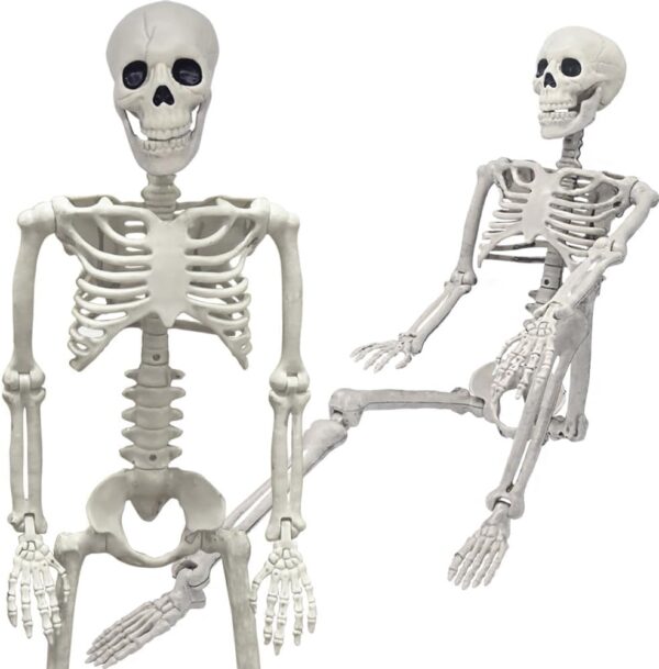 36" Posable Skeleton – Realistic Full-Body Halloween Prop for Indoor & Outdoor Decor