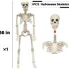 36" Posable Skeleton – Realistic Full-Body Halloween Prop for Indoor & Outdoor Decor - Image 4