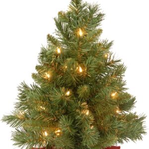 Pre-Lit 2FT Mini Christmas Tree – Fir with Lights & Cloth Base