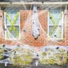 Halloween Spider Webs – 1400 Sqft with 150 Fake Spiders for Indoor/Outdoor Décor - Image 6