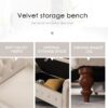 63" Velvet Storage Ottoman Bench with Arms (Beige) - Image 3