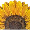 Sunflower Doormat – 23"x35" Non-Slip Indoor/Outdoor Entry Rug - Image 2