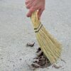 12" Corn Whisk Broom – Yellow with Flagged Bristles for Indoor/Outdoor Sweeping - Image 4