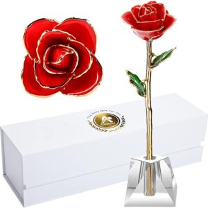 Valentines Day Gift Rose, Long Stem Rose Made from 24K Gold Dipped Real Rose Gift for her Rose(Red with Crystal Vase)