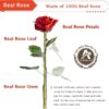 Valentines Day Gift Rose, Long Stem Rose Made from 24K Gold Dipped Real Rose Gift for her Rose(Red with Crystal Vase) - Image 3