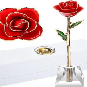Valentines Day Gift Rose, Long Stem Rose Made from 24K Gold Dipped Real Rose Gift for her Rose(Red with Crystal Vase)